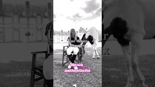 INTERVIEW par DEVOUCOUX 💚😳 cheval chevaux equitation poney jumping horse [upl. by Eadith]