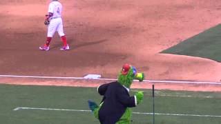 The Phillie Phanatic  quotNew York New Yorkquot [upl. by Ailic175]