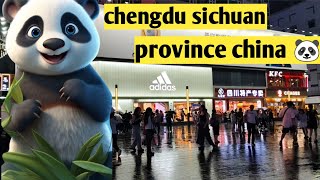 chengdu sichuan province china 🐼 panda city in china 🐼🇨🇳Rishivlogr1 [upl. by Dleifrag756]