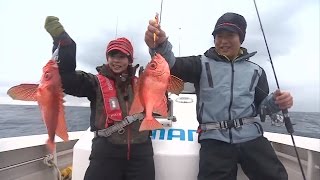 【釣り百景】126 魚種の宝庫日本海を、スロー系ジギングで堪能する！ [upl. by Annodahs]