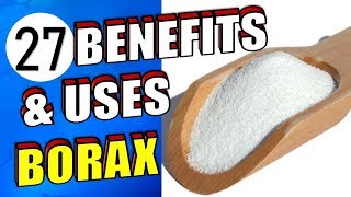 27 Brilliant Uses amp Health Benefits of Borax For Around the House [upl. by Inatirb]