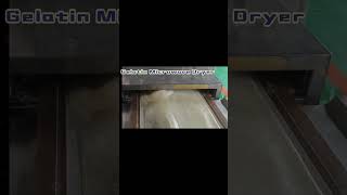 Transforming Gelatin Production with the Gelatin Microwave Dryer WechatWhatsapp 86 13256674591 [upl. by Yenalem818]