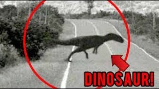 5 AVVISTAMENTI DI DINOSAURI O ANIMALI ESTINTI RIPRESI DA UNA TELECAMERA [upl. by Sihonn]