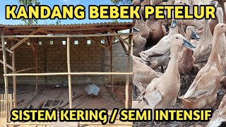 CARA BUAT KADANG BEBEK PETELUR SISTEM KERING  KANDANG SEMI INTENSIF [upl. by Kemppe]