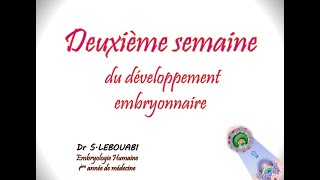 2ème semaine de développement embryonnaire [upl. by Loziram187]