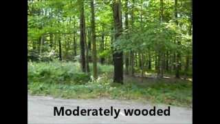 Woodbourne 2 acres Land For Sale Upstate NY [upl. by Wilona]