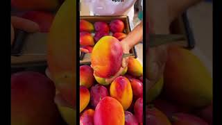 Fruit are fresh and so satisfying  Fresh Fruit  Fruit Cutting 2024  shorts satisfyingvideo [upl. by Ciccia]