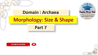 Archaea morphology  size amp shape  archaea microbiology lecture archaea microbiology [upl. by Eibba]