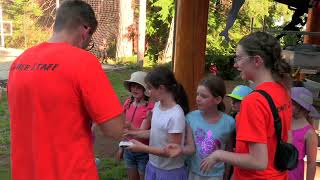 Camp Homewood Harbour Camp Highlights 2024 [upl. by Rodger]