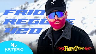 Perro Primo DTBilardo  Frio  Video Oficial Reggae 420 [upl. by Trautman]