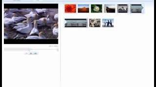 Windows Live Movie Maker Tutorial [upl. by Anitsirk869]