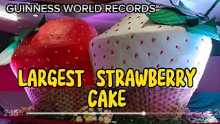 GUINNESS WORLD RECORDS LARGEST STRAWBERRY CAKE  Strawberry festival 2023 [upl. by Alodi739]