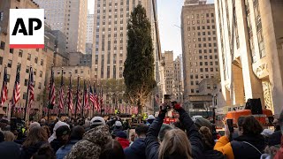 Rockefeller Center Christmas Tree arrives in New York City [upl. by Emmett]