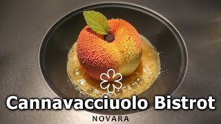 A cena al CANNAVACCIUOLO BISTROT di Novara una stella Michelin ⭐ [upl. by Noeruat381]