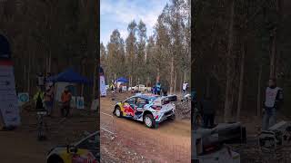 LAUNCH into 🇨🇱 WRC Rally Chile BIOBÍO 2024 [upl. by Didi]