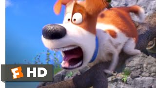 The Secret Life of Pets What do pets do when we leave HD CLIP [upl. by Haziza]