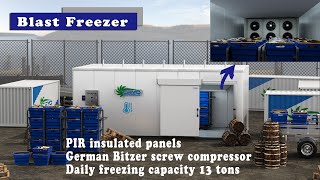 CRYO blast freezer design [upl. by Ennaillij935]