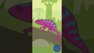 Chameleon Song Short  Fun Educational Animal Song for Kids │ Smiley Rhymes [upl. by Gladdie]