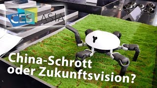 ChinaSchrott oder Zukunftsvision Eindrücke von der CES Asia 2019 [upl. by Ahker]