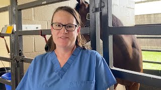 Innovations in the Treatment of Horse Fractures and Equine Surgery with Dr Laura Riggs [upl. by Yuht676]