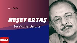 Neşet Ertaş  Bir Kökte Uzamış I Zülüf Dökülmüş Yüze © 1999 Kalan Müzik [upl. by Nairadas]