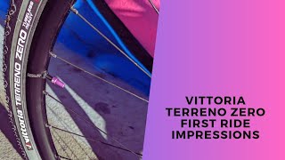 Vittoria Terreno Zero First Ride Impressions Review [upl. by Alyehs533]