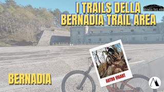 Bernadia Trail Area Antro Vigant RAW mtbfriuli [upl. by Aihgn716]