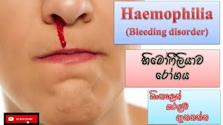 Haemophilia හිමෝෆීලියා රෝගය bleeding disorder how it happens causes symptoms treatments [upl. by Ennaihs]