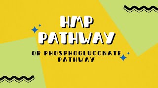 Hexose Monophosphate pathway  pentose phosphate pathwayHMP pathway shunt phosphogluconate pathway [upl. by Laird58]