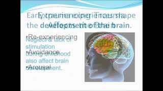 Trauma Module 5Trauma and the Brain [upl. by Lisabet]