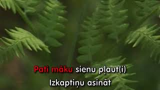 Div pļaviņas es nopļāvu KARAOKE [upl. by Jain]