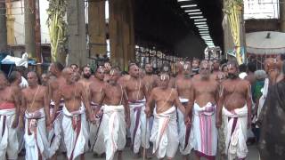 KANCHI Sri VARADAN Veda Parayana ghoshty on 24th May 2013 [upl. by Norvun]