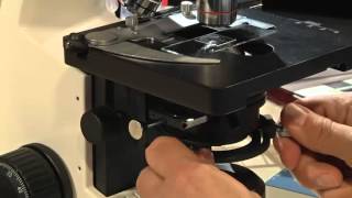 Koehler Illumination Microscope [upl. by Barvick]