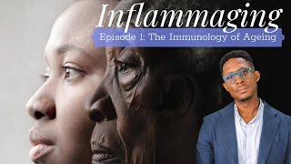 Inflammaging  Episode 1 The Immunology of Ageing [upl. by Imeaj822]