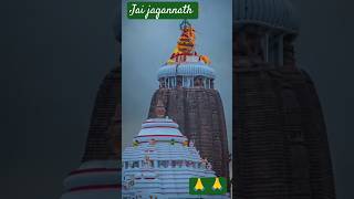 🙏 Jai jagannath 🙏shorts odia trending viralshorts ytshorts [upl. by Otrebogir]