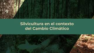 Silvicultura en el contexto del cambio climático [upl. by Airdnaed]