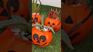 Plantitas de Halloween 🎃🌱🙌🏼plantas halloween plantlover suculentas vivero viveromiraflores [upl. by Snoddy]