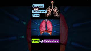 Part3 Tidal volume  Breathing and Exchange of gases neet Cbse [upl. by Laufer26]