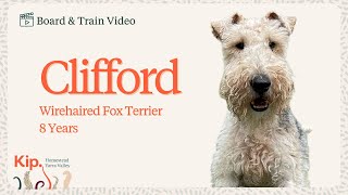 Clifford Training Video [upl. by Anazraf]