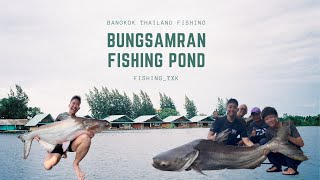 FISHING BANGKOK THAILAND PART 2 BUNGSAMRAN POND [upl. by Neelahs]