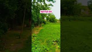 Kaha se ho aap farming motivation nature shortvideo agriculture village villagelife [upl. by Jillane]