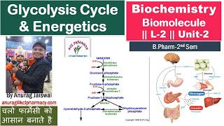 Glycolysis Cycle amp Energetics  L2 Unit2 Biochemistry [upl. by Hrutkay815]