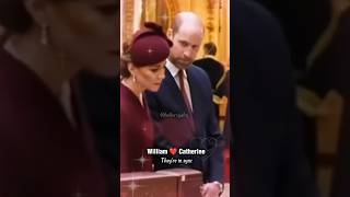 La mirada de amor del Principe William 😍 katemiddleton royalfamily memories love beautiful [upl. by Nwadrebma]