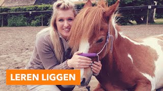 Leren liggen vrijheidsdressuur  PaardenpraatTV [upl. by Kelli830]