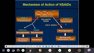 Antiinflammatory drugs  pharmacology Recording [upl. by Lienahs12]