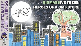 Gibberellin overexpression increases tree biomass The future of forestry [upl. by Leone]