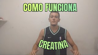 COMO FUNCIONA A CREATINA NO SEU CORPO atualizado [upl. by Elysia]