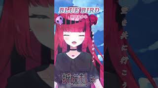 【BLUEBIRD】浜崎あゆみさんの「BLUE BIRD」歌ってみた【＃Vtuber ＃Vsinger ＃もしゅの歌】 [upl. by Lodmilla]