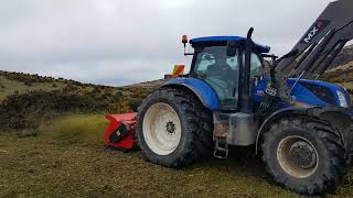 Vigolo Mulcher Dealing to Gorse [upl. by Ramu]