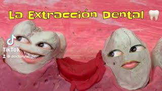 La Extracción Dental 🦷 [upl. by Joshua]